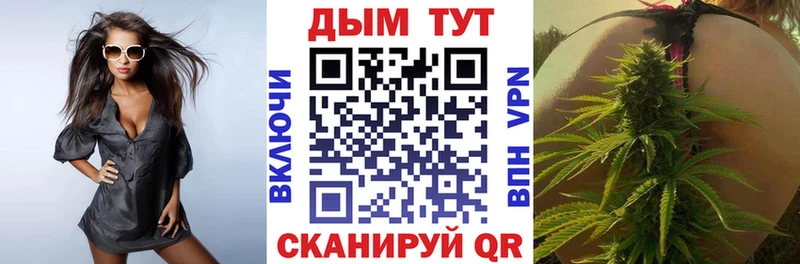 Купить где  Шилка  Шишки марихуана план 